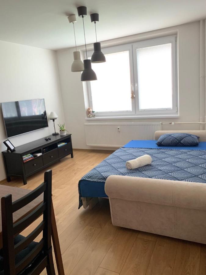 Apartman Volterka Plesivec エクステリア 写真